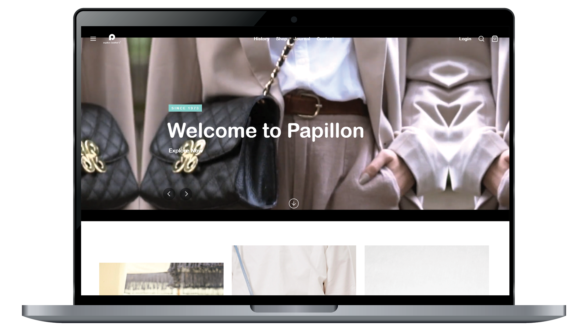 Portfolio Image
